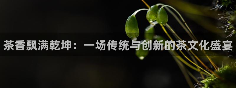 安信12注册登录下戴