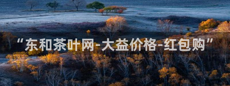 安信12平台的网址