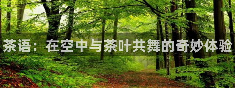 安信12注册登录下戴