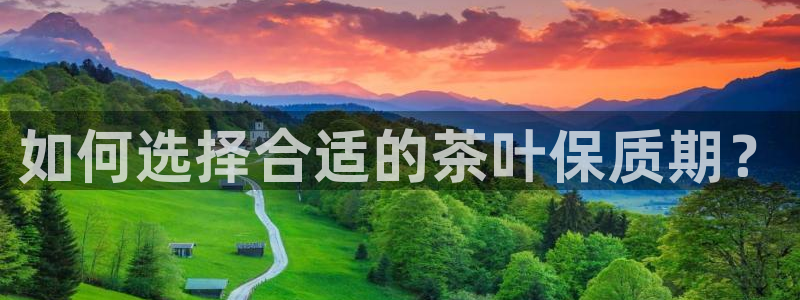 安信12是正规平台吗