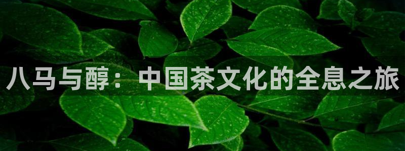 安信12娱乐开户