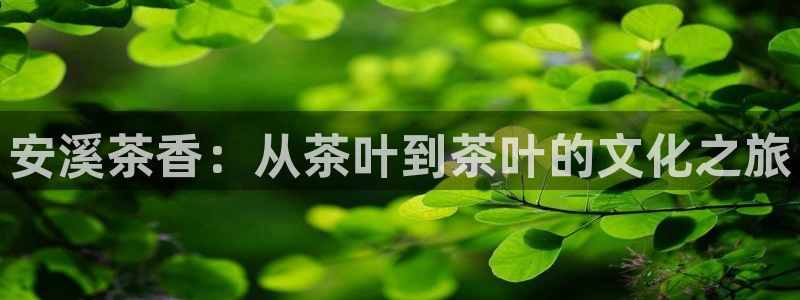 安信12正版下载