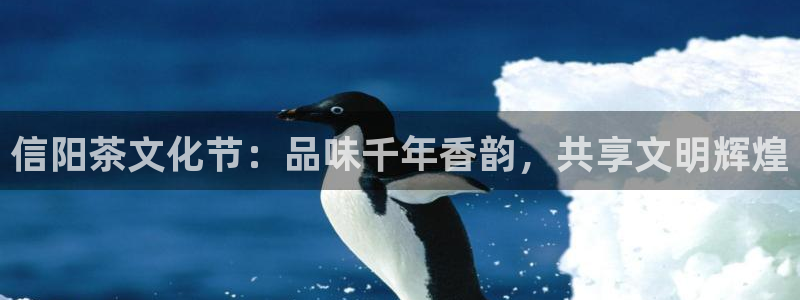 安信12想开户