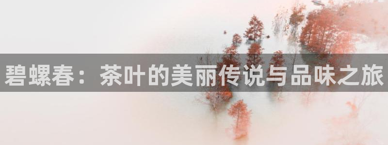 安信12网站