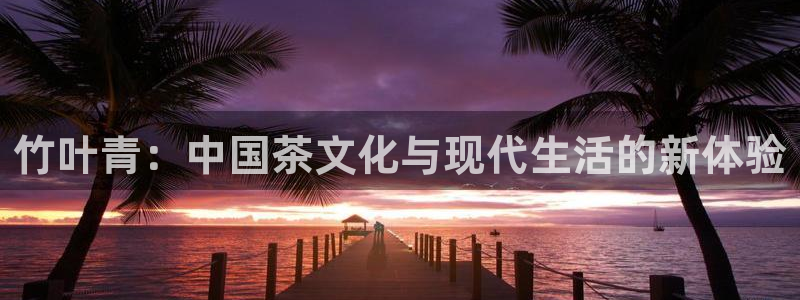 安信可12f