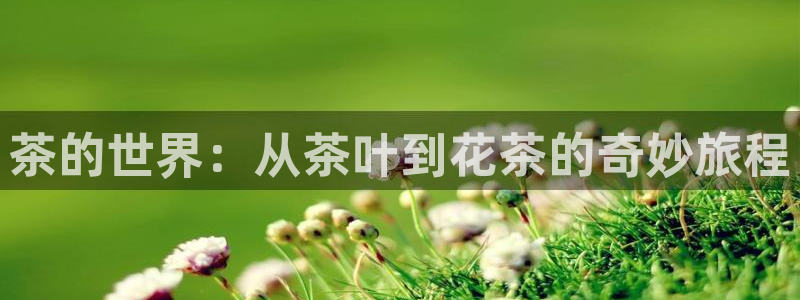 安信cw12系列