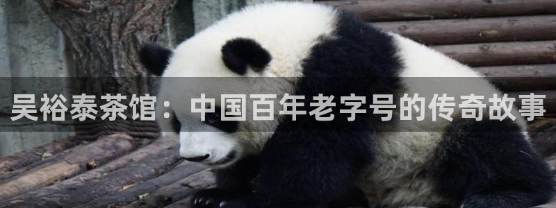安信可12f