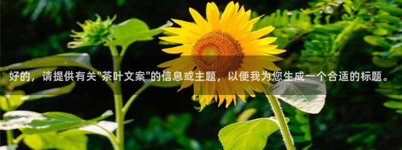 安立信T12测评