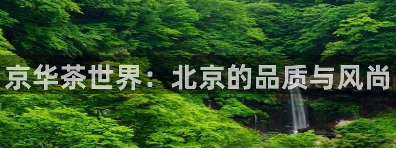 安信12周年庆典