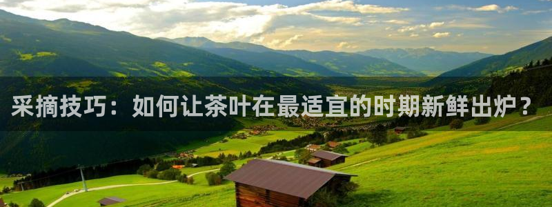 安信12软件介绍