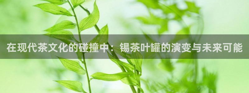 安信12娱乐招商