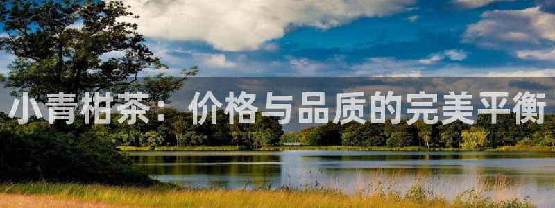 安信12周年庆典