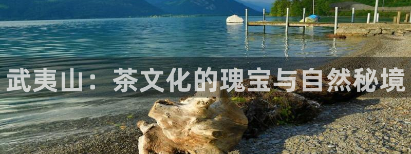 安信可12f代码