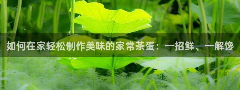 安立信T12测评