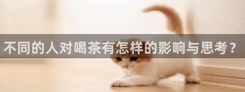安信12软件介绍