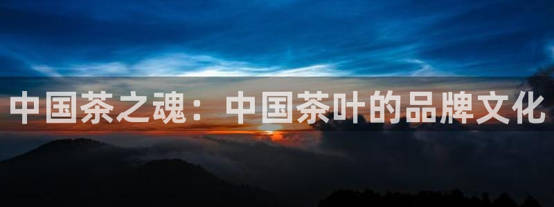 安信12专用挂机