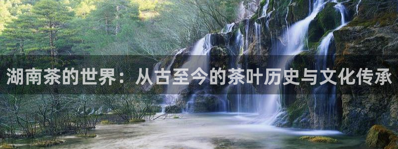 安信娱乐12登录地址