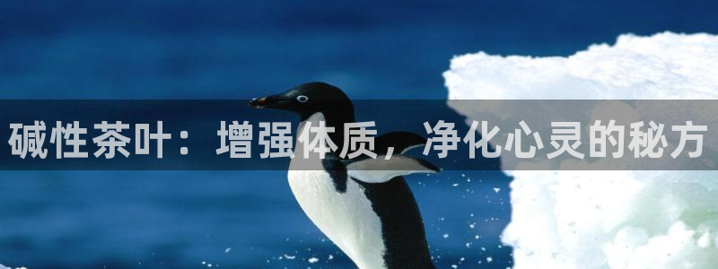 安信锐赢134号12月