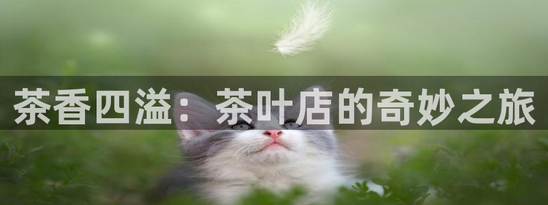 安信安盈12最新消息