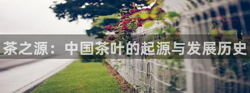 安信12彩票在线网址