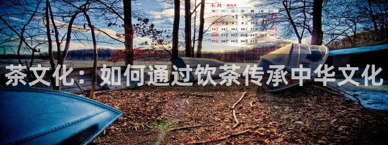 安信cw12系列