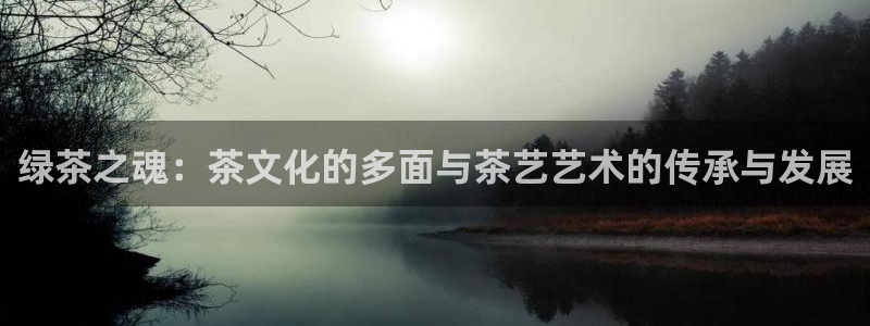 如何注销安信12软件