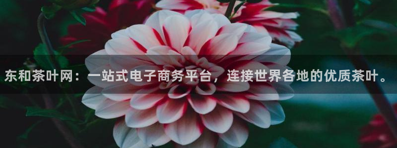 安信12娱乐登录