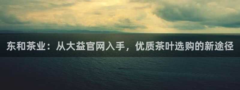 安信12是什么平台