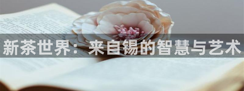 安信12平台官网