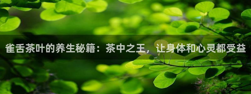 安信信托12 期