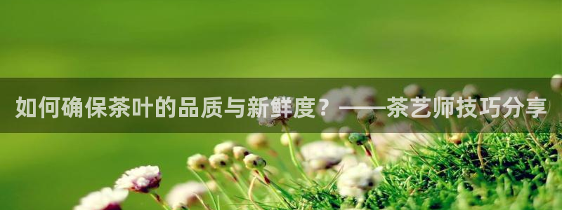 安信12级粉丝团福利