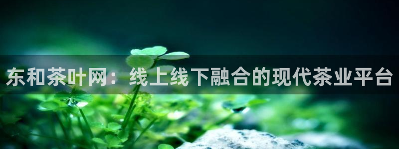 安信12官网