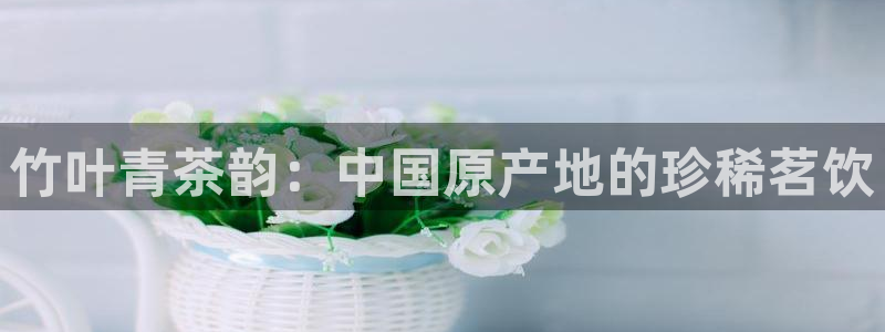 安信12娱乐主管
