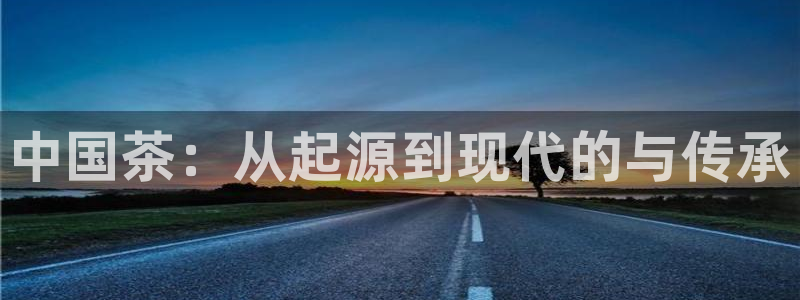 安信12平台的网址