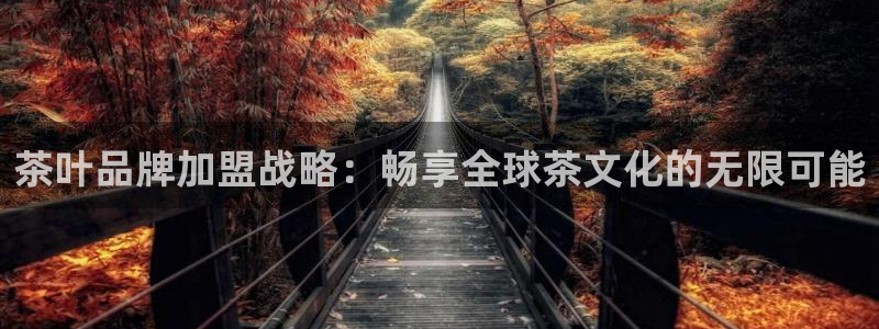 安信12平台下载