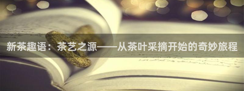 安信证券手机壳12