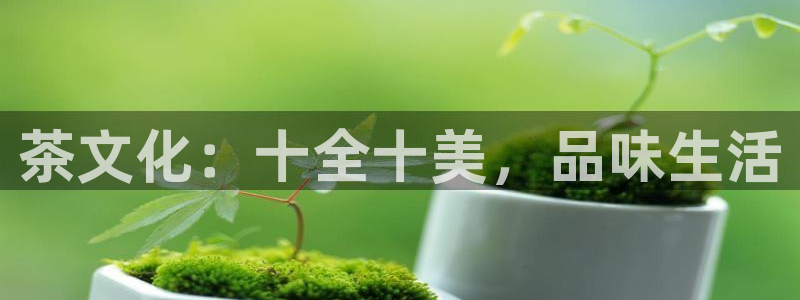 安信安盈12最新消息