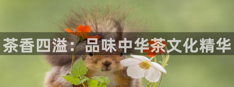 安信12官方网站查询