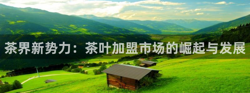 安信t12