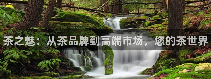 安信12注册咋7O777