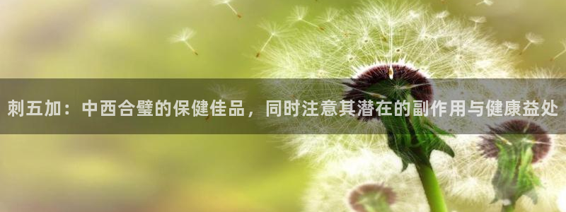 安信12级