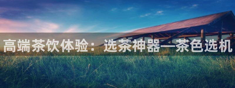 安信12真假