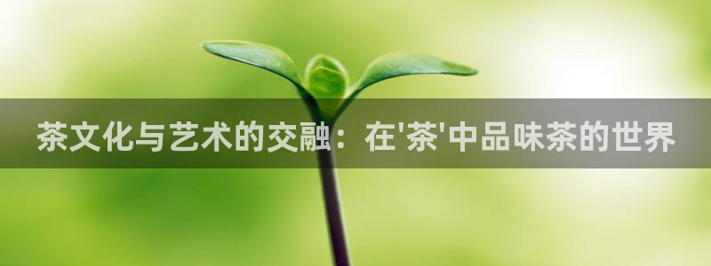 安信12娱乐7o777还