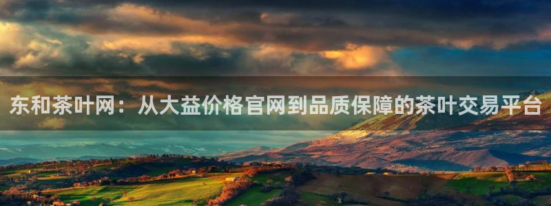 安信12是正轨网站吗