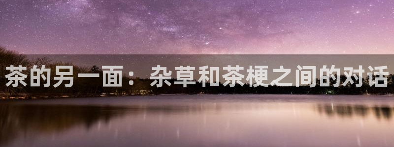 安信12娱乐招商