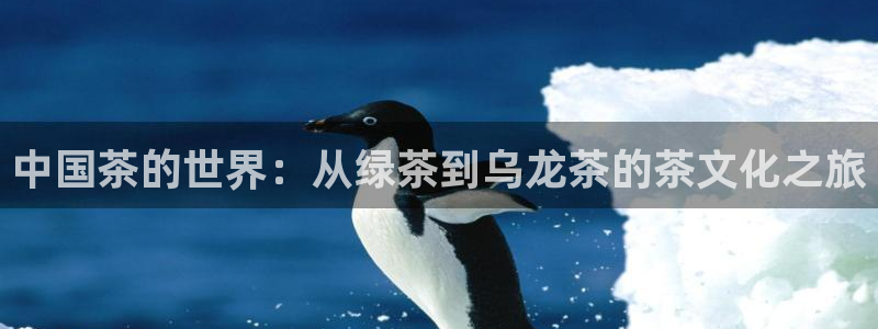 安信12位数资金号