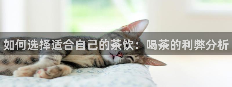 安信12位资金账号