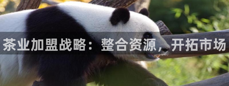 安信12娱乐
