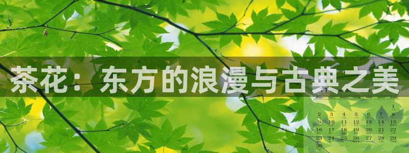 安信可esp-12