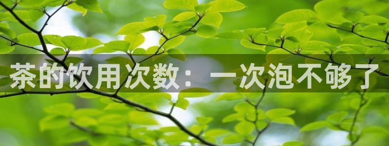 安信12娱乐招商
